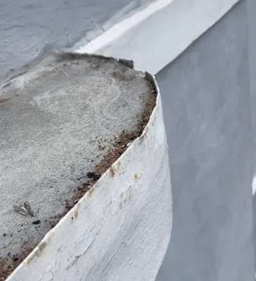 The Last Detail Roofing Logo