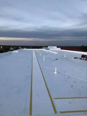 The Lion Roofing Logo