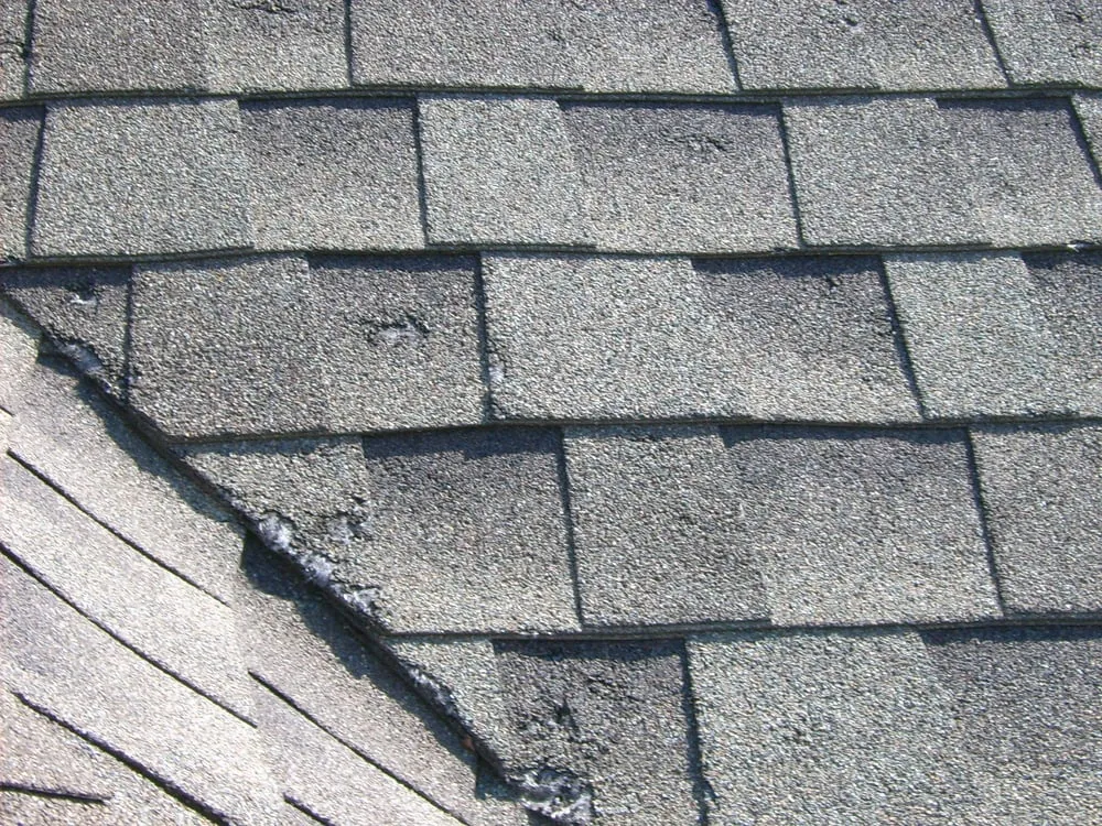 Slide of The M Warner Company