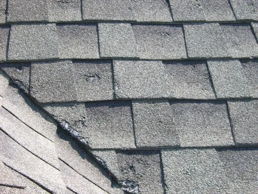 The M Warner Company Logo