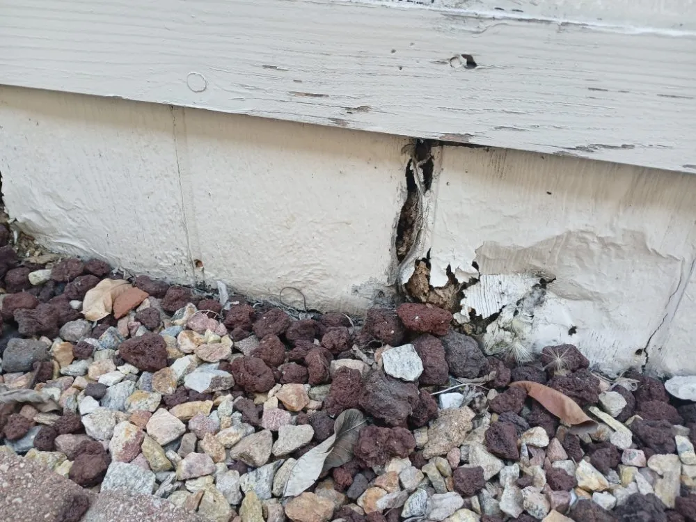 Slide of The Mobile Home Doctors