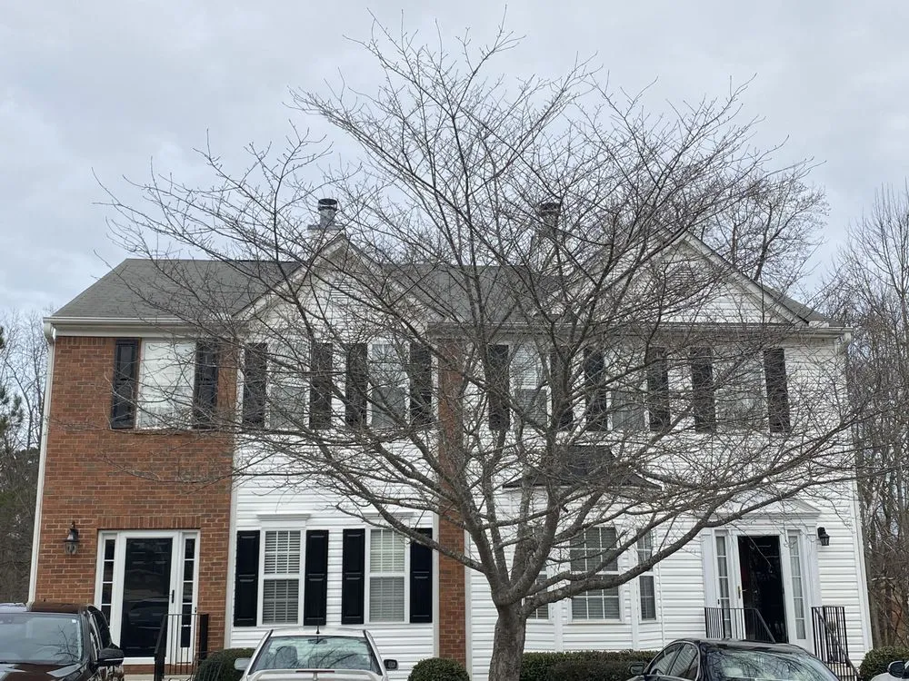 Slide of The New Roof