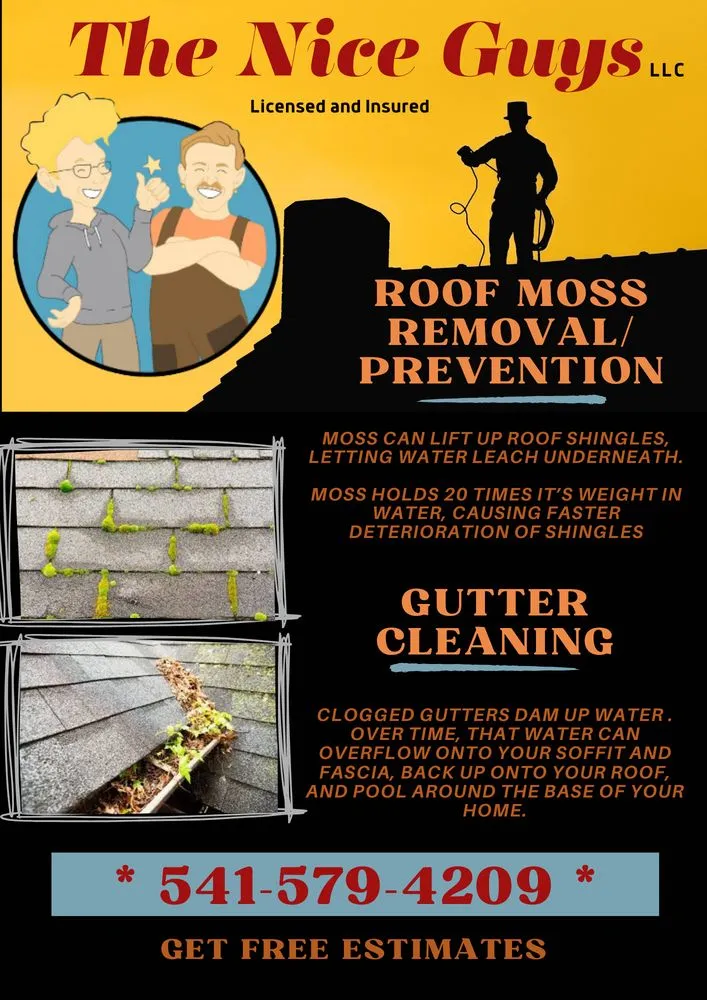 Slide of The Nice Guys