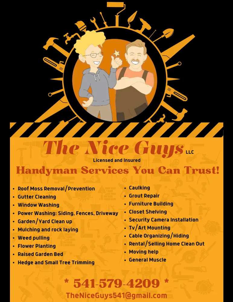 Slide of The Nice Guys