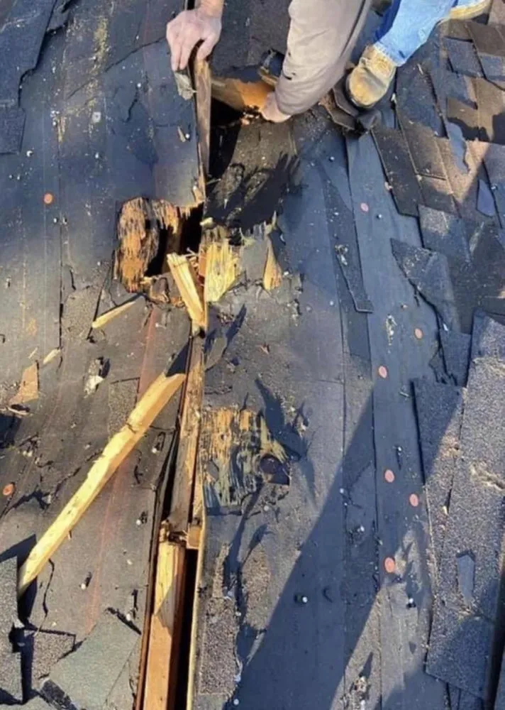 Slide of The One Man Team