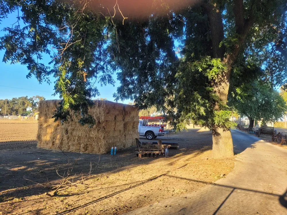 Slide of The Orange Solar