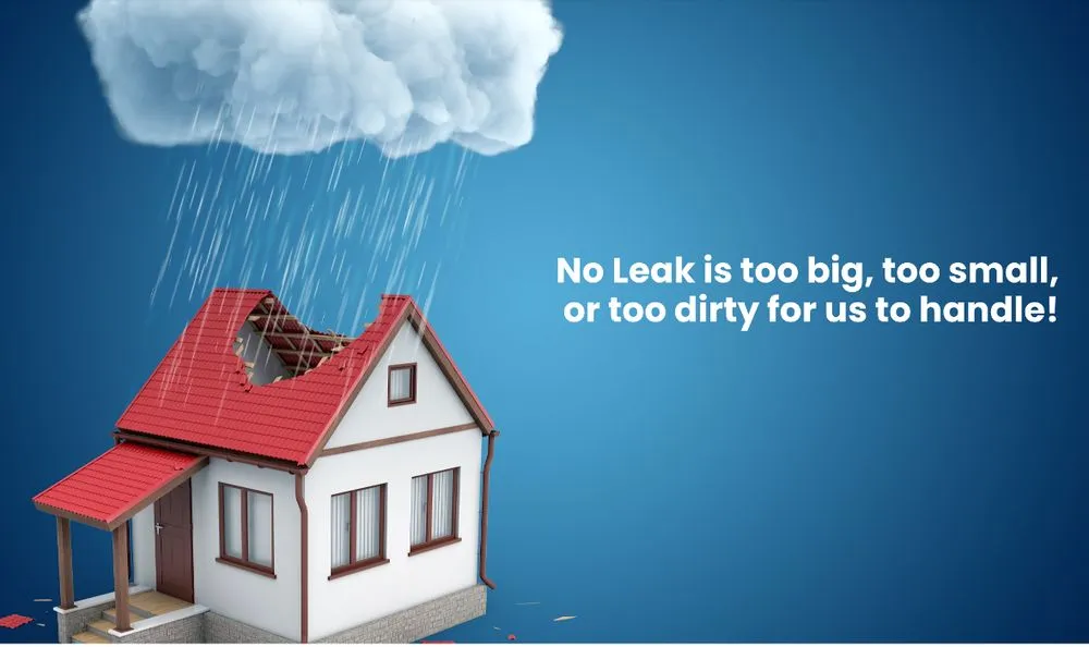 Slide of The Original Roof Repair