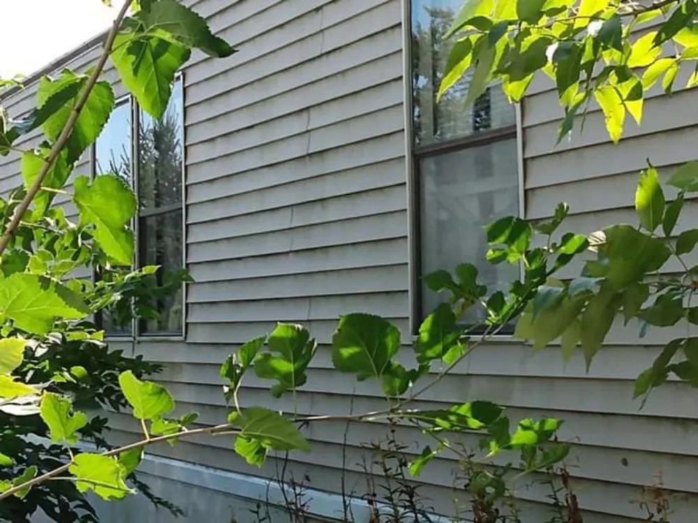 Slide of The Outside Guyz