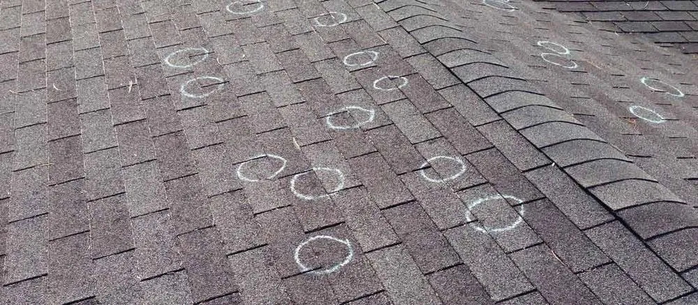 Slide of The Pinnacle Group