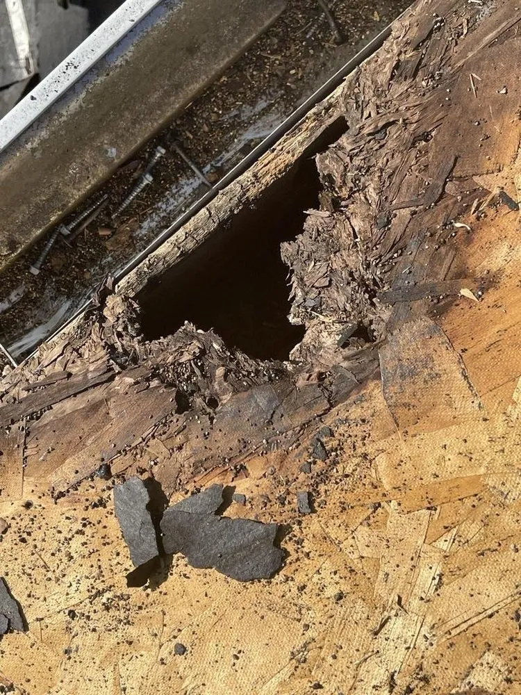 Slide of The Ready Companies