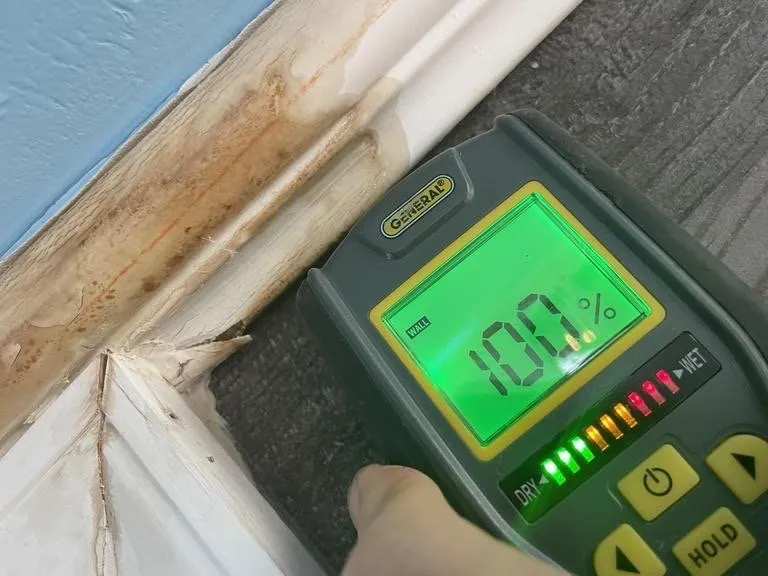 Slide of The Ready Companies