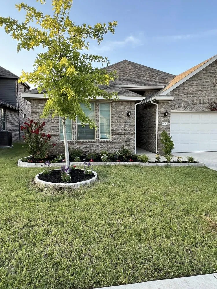 Slide of The Red Roofer