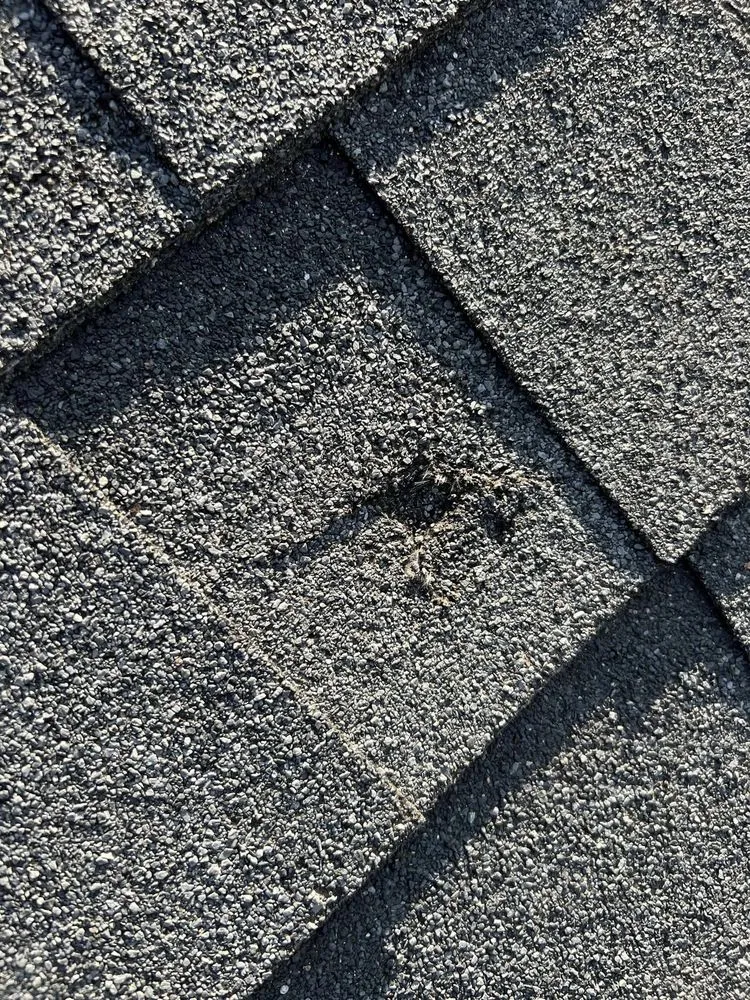 Slide of The Red Roofer