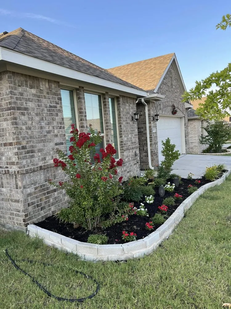 Slide of The Red Roofer