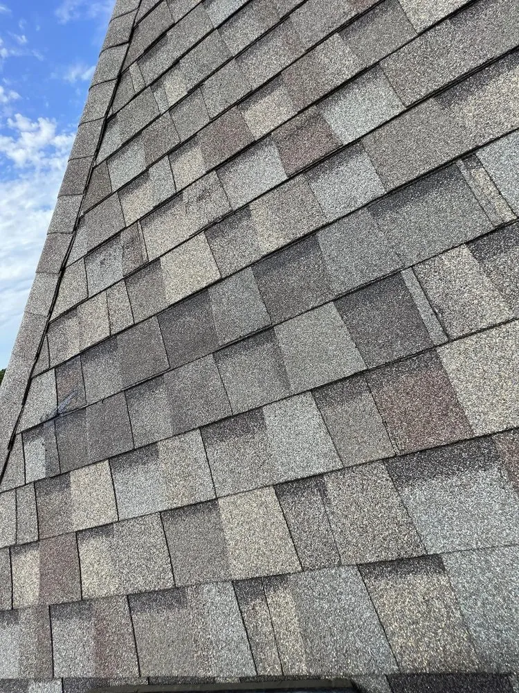 Slide of The Red Roofer