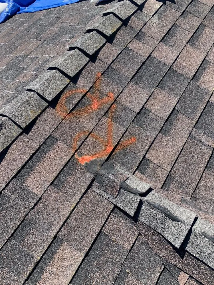 Slide of The Reliable Roof