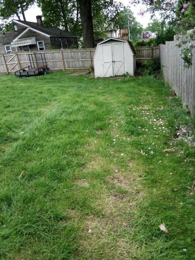 Slide of The Remedy Lawn Care Services