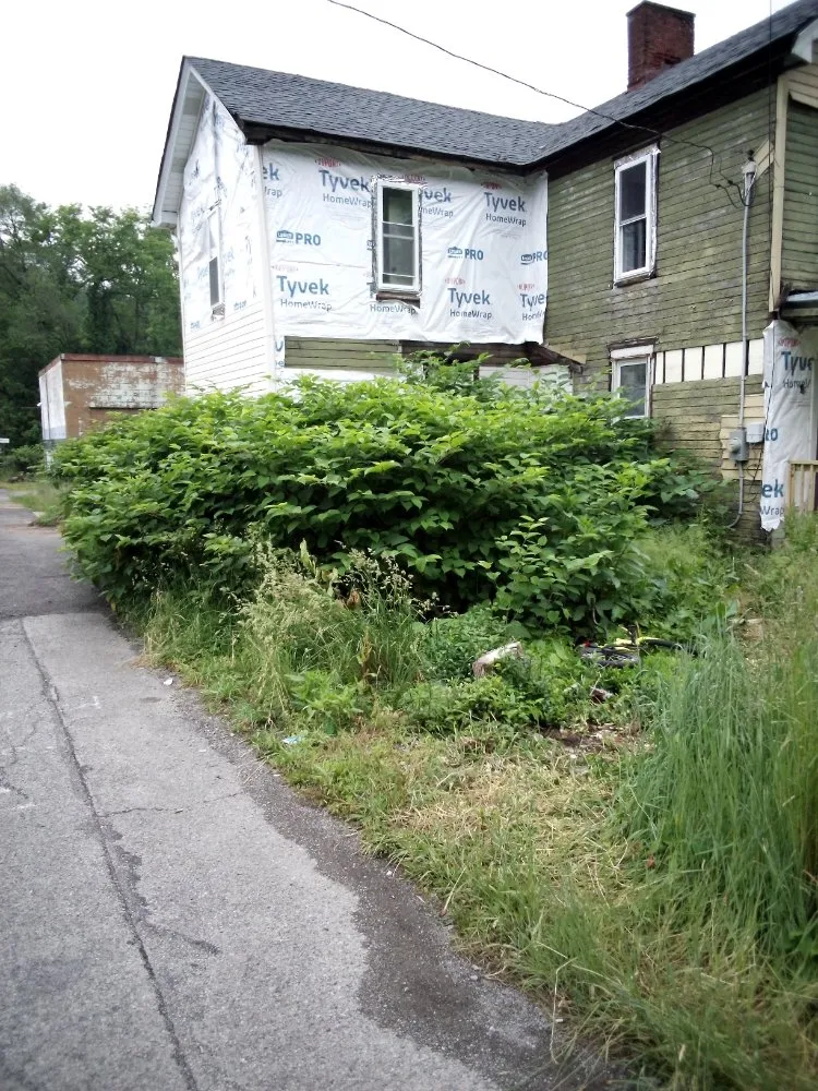 Slide of The Remedy Lawn Care Services