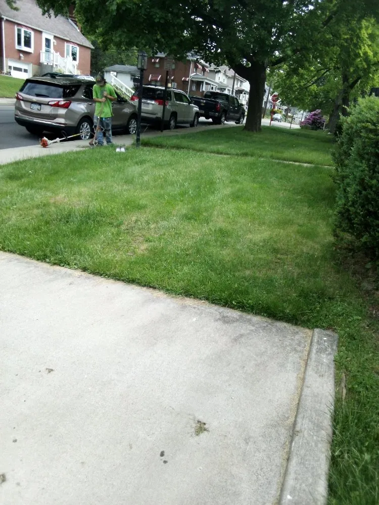 Slide of The Remedy Lawn Care Services