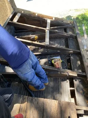 The Remedy Lawn Care Services