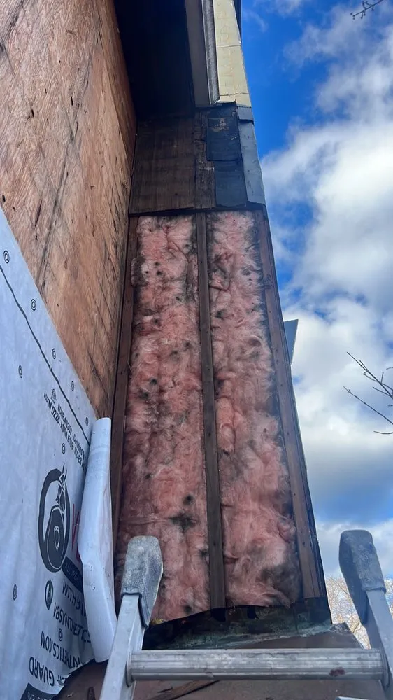 Slide of The Remodeler Specialist