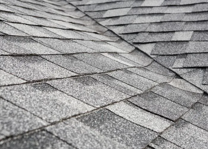 Slide of The Rhode Island Roofers