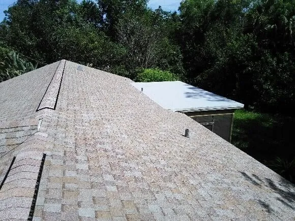 Slide of The Right Call Services