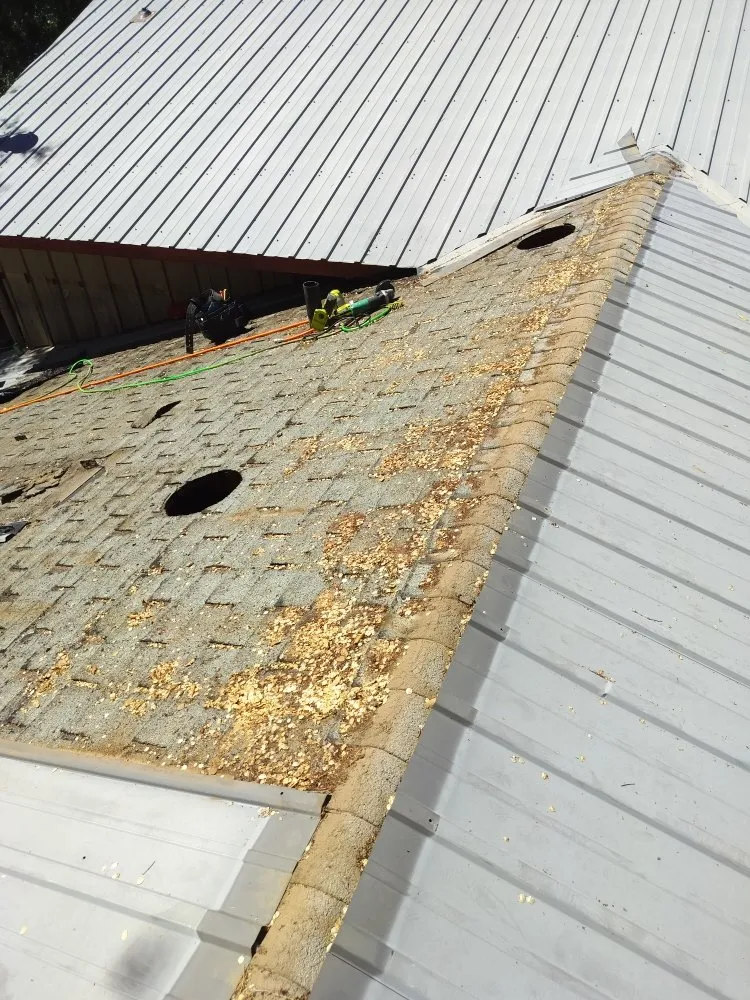 Slide of The Right Touch