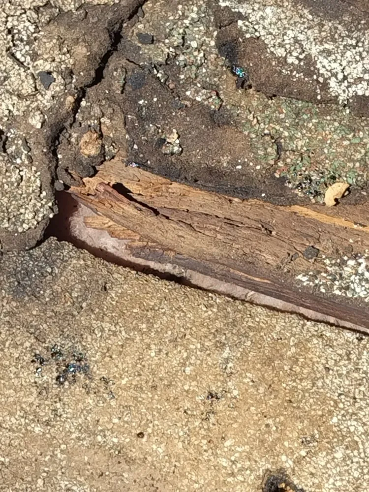 Slide of The Right Touch