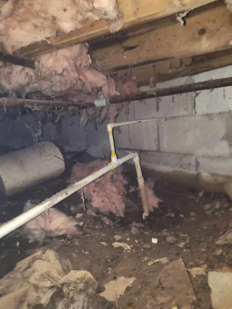 Slide of The Right Touch