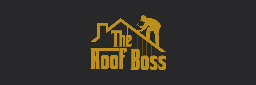Slide of The Roof Boss