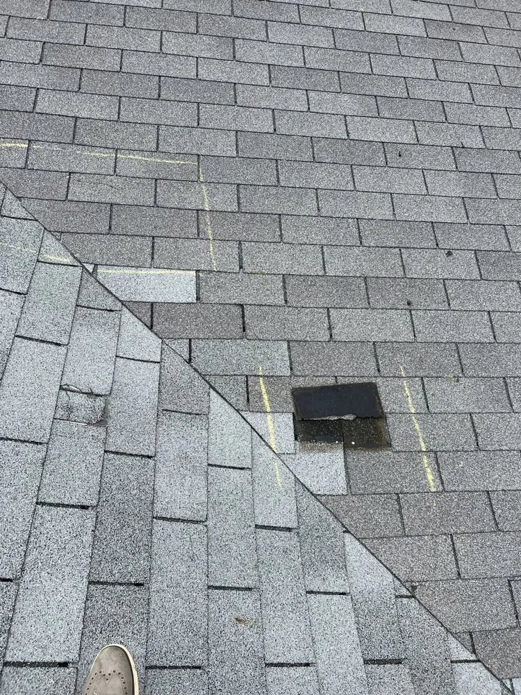 Slide of The Roof Brothers