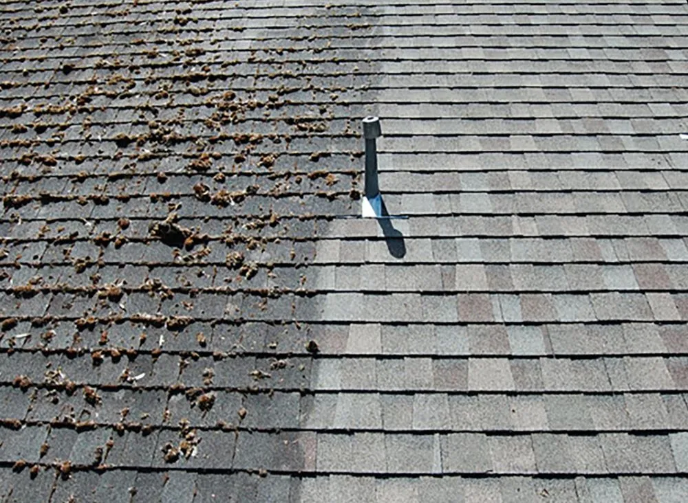 Slide of The Roof Cleaners