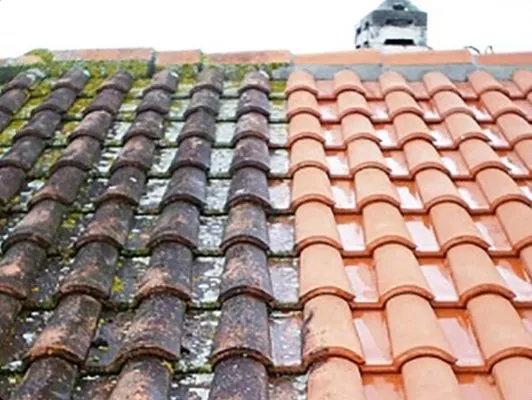 The Roof Cleaners Logo