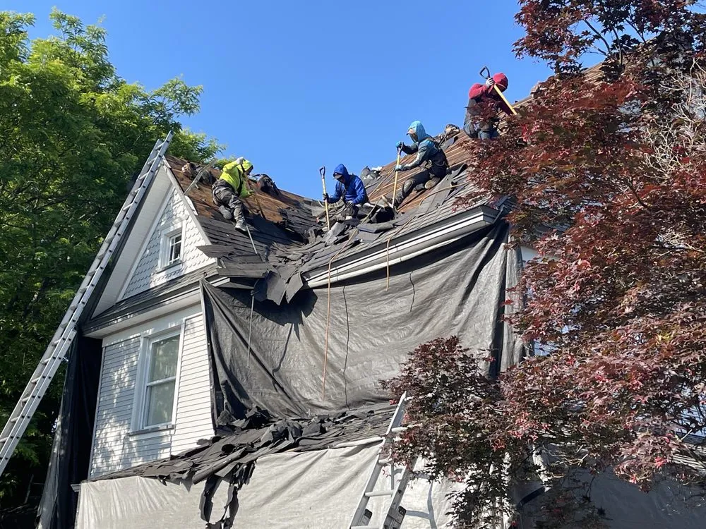 Reliable residential roofing service for homes in Jefferson Township, PA by The Roof Connection