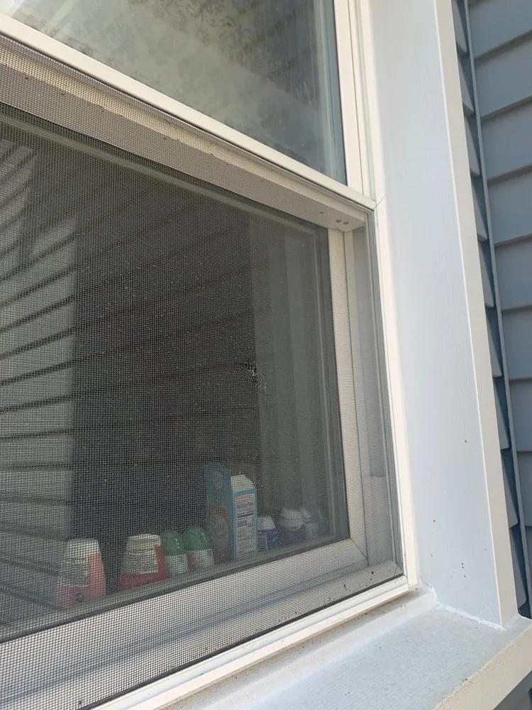 Slide of The Roof Detective