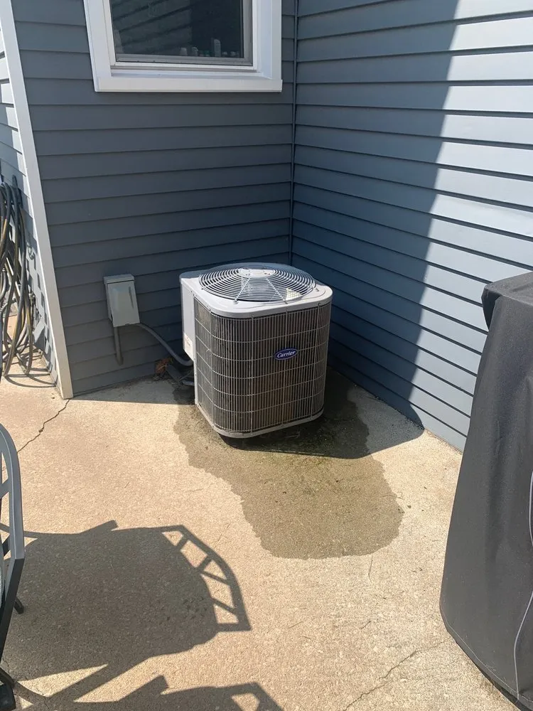 Slide of The Roof Detective