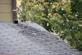 Slide of The Roof Doctor