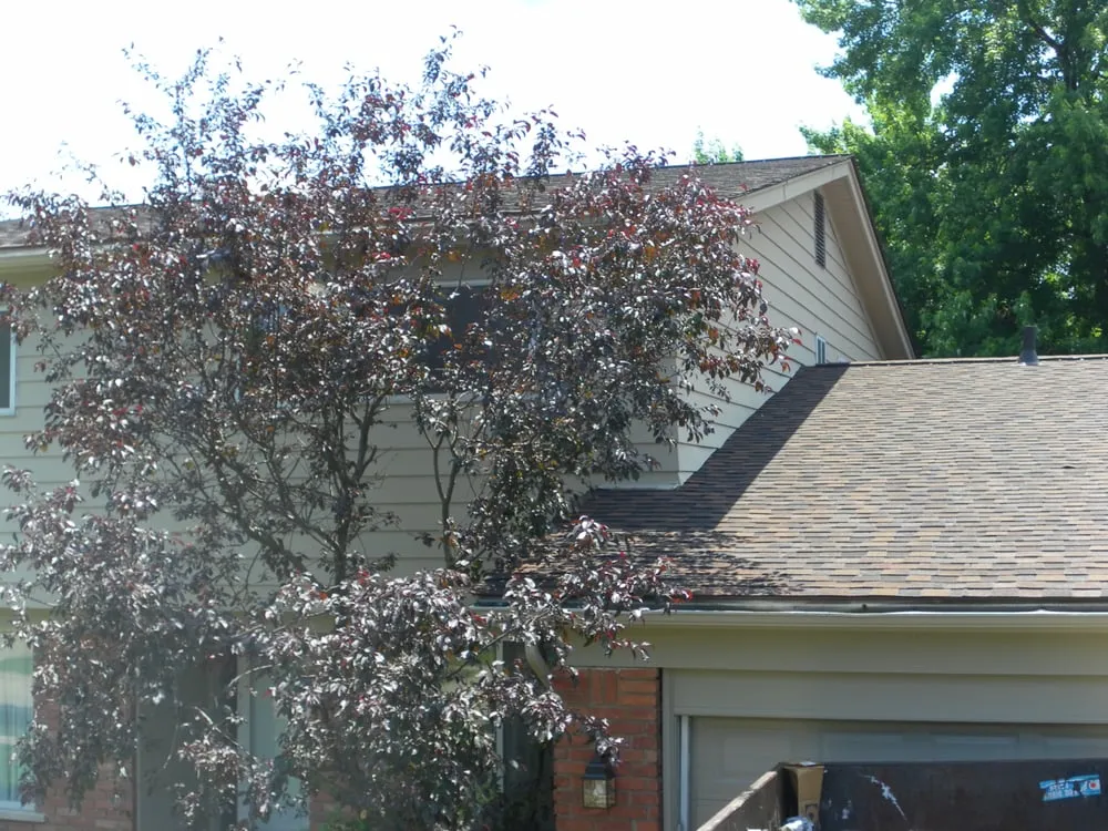 Slide of The Roof Doctor