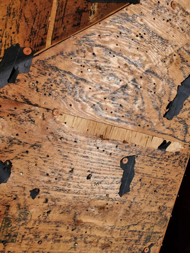 Slide of The Roof Doctor