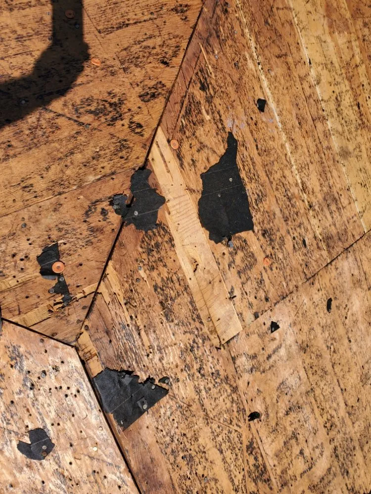 Slide of The Roof Doctor