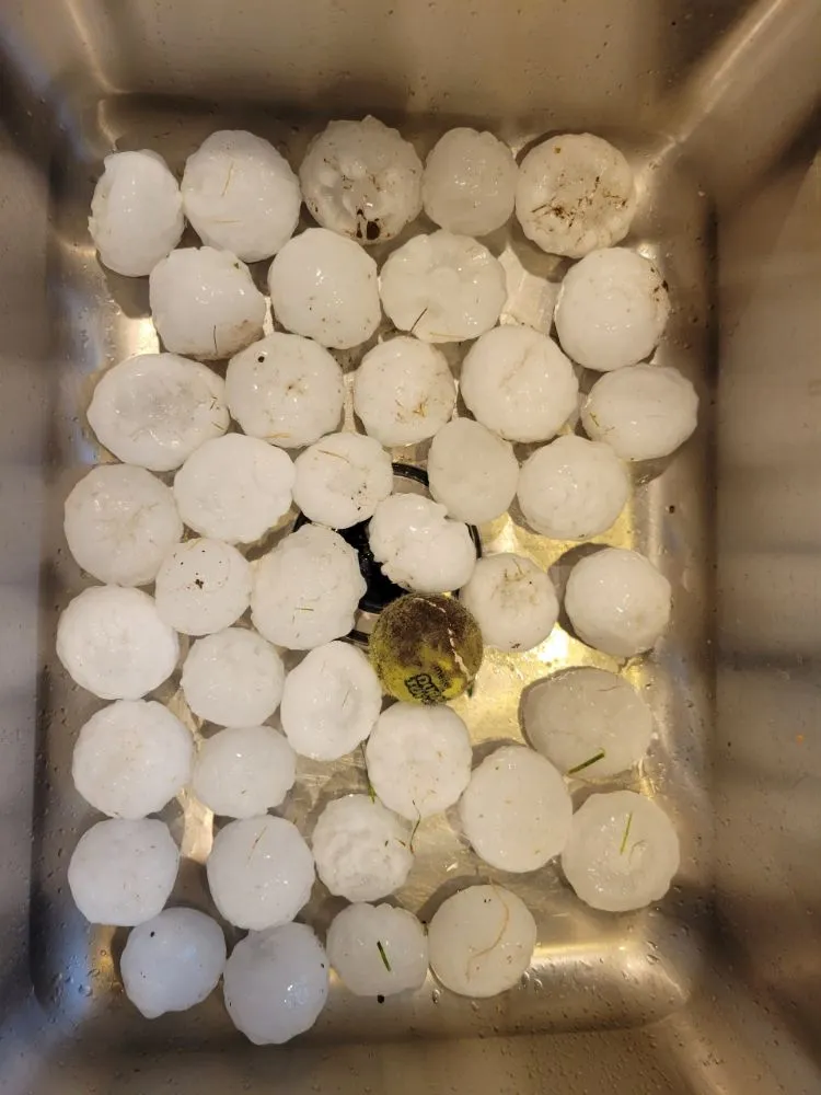 Slide of The Roof Doctor