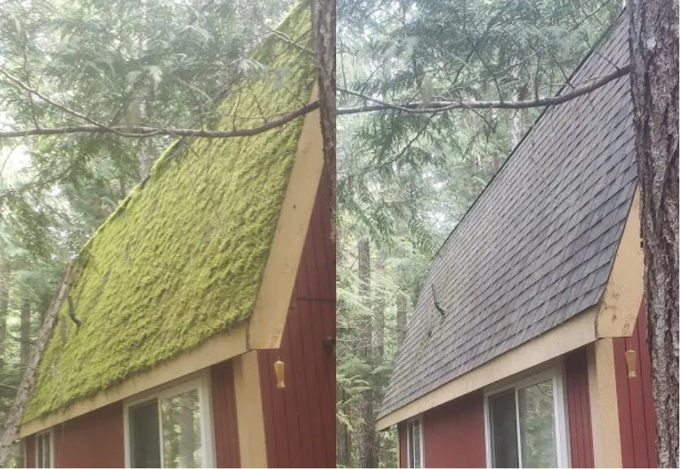 Slide of The Roof Doctor