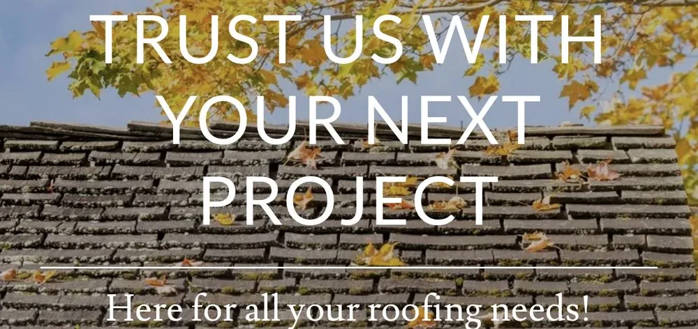 Slide of The ROOF Doctors