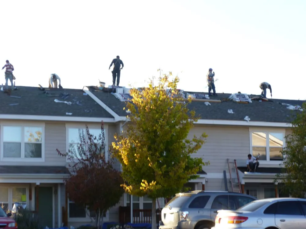 Slide of The Roof Dr