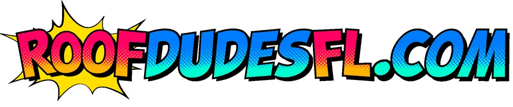 Slide of The Roof Dudes