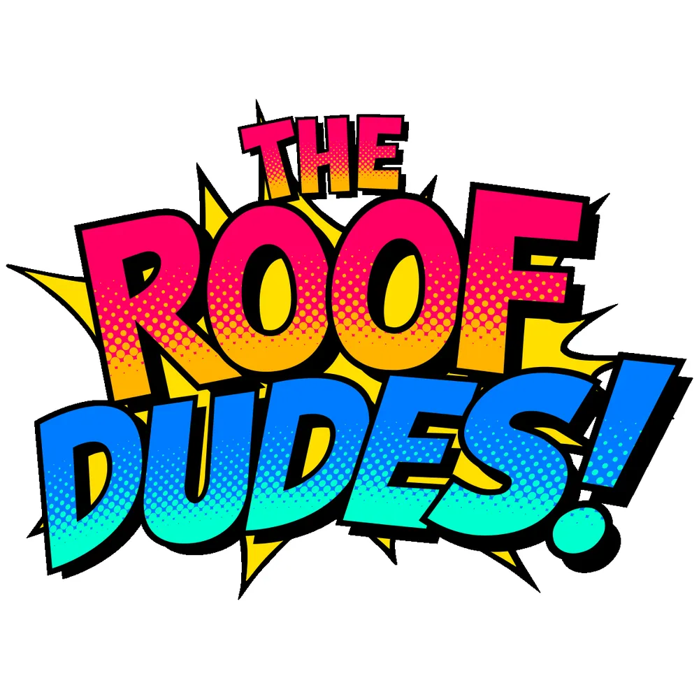 Slide of The Roof Dudes