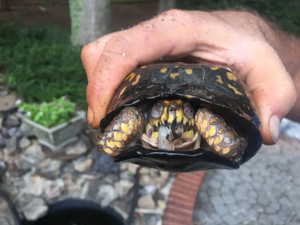 Slide of The Roof Factory