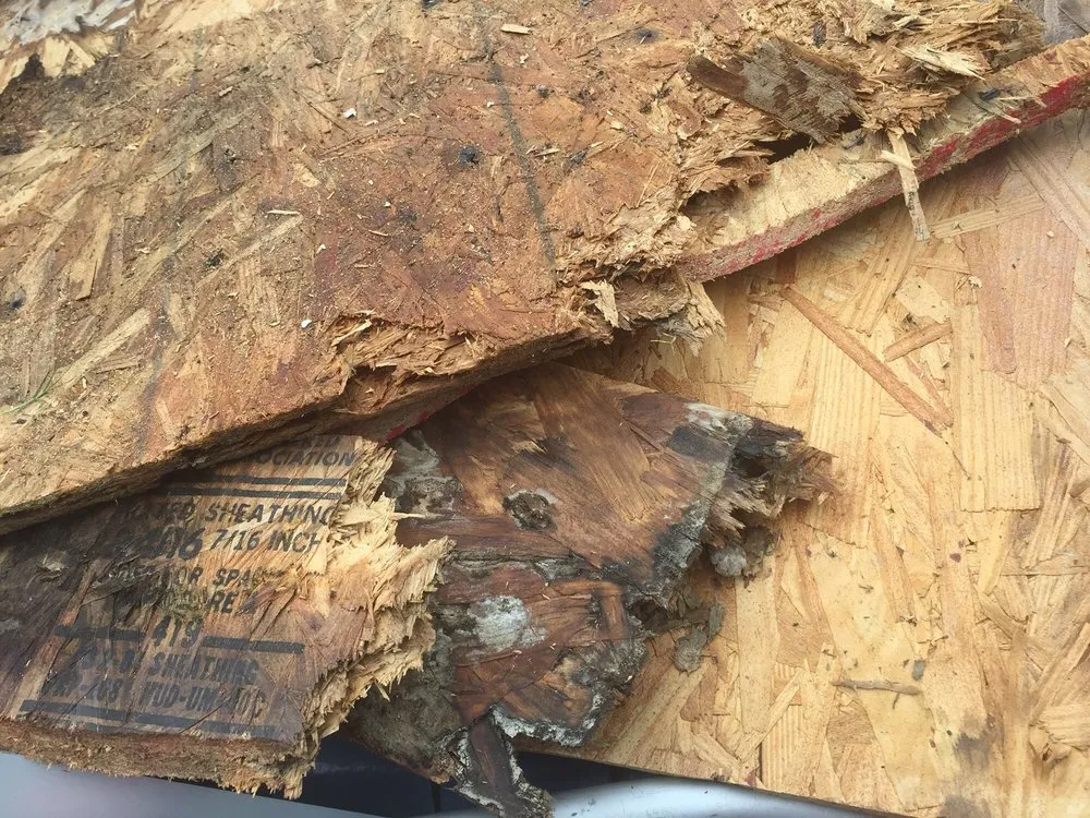 Slide of The Roof Factory