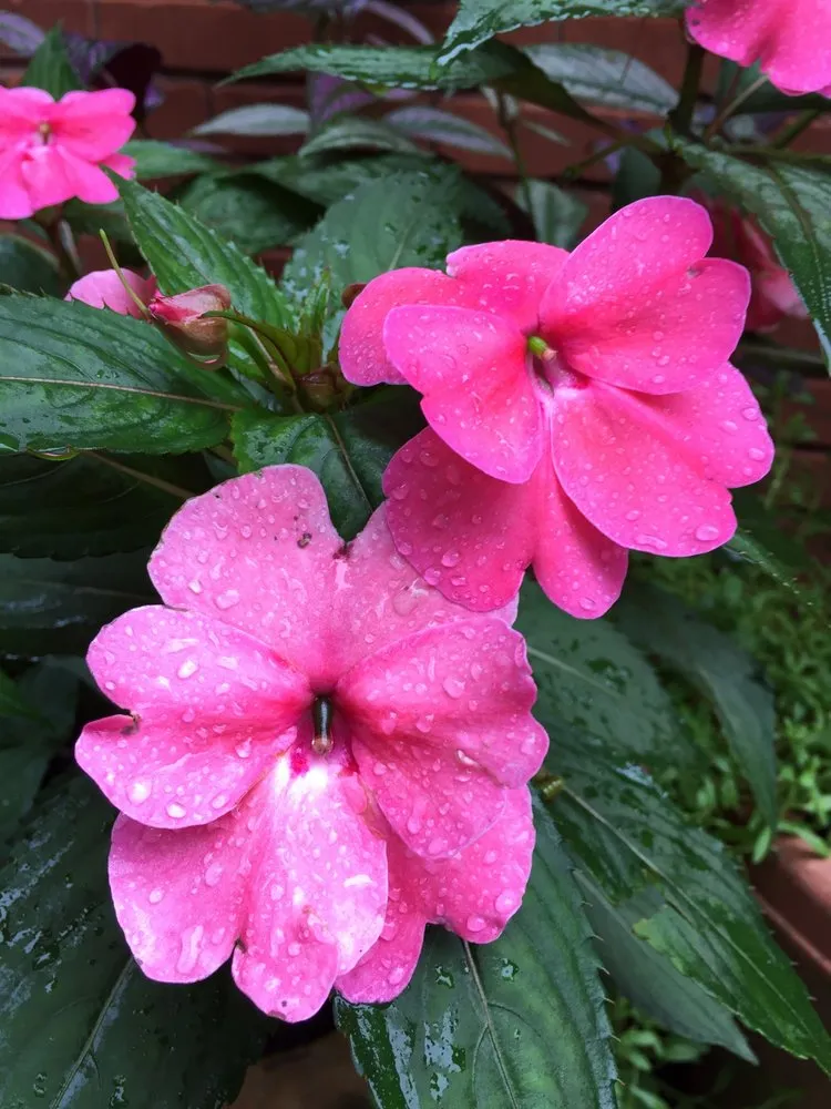 Slide of The Roof Factory